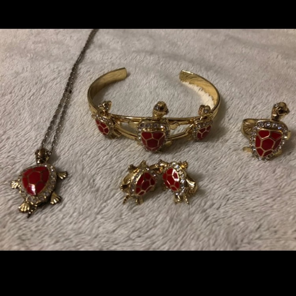 Turtle jewelry set